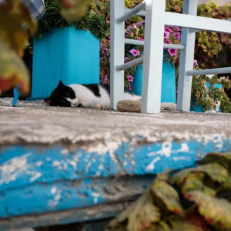 Apartman Casa Nel Borgo Naxos City